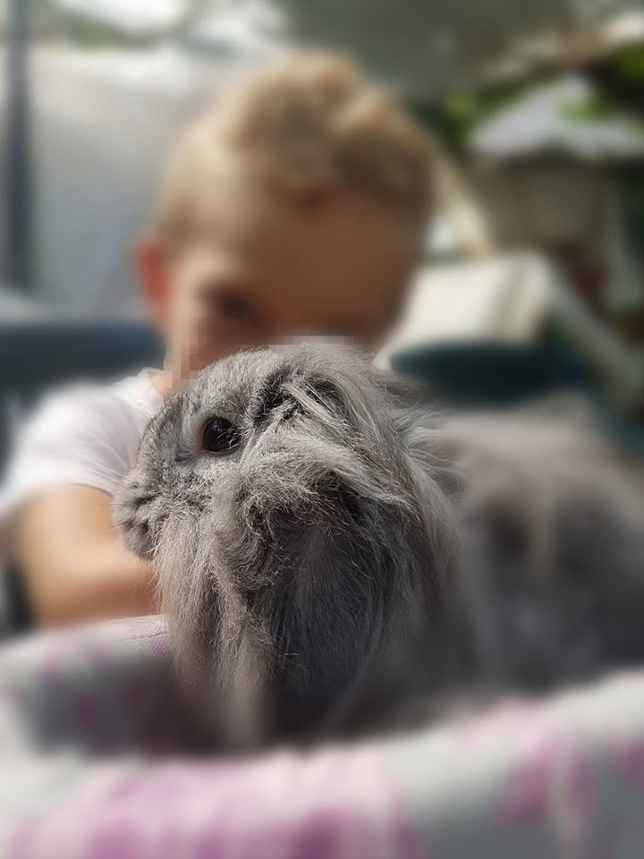 Foto 10