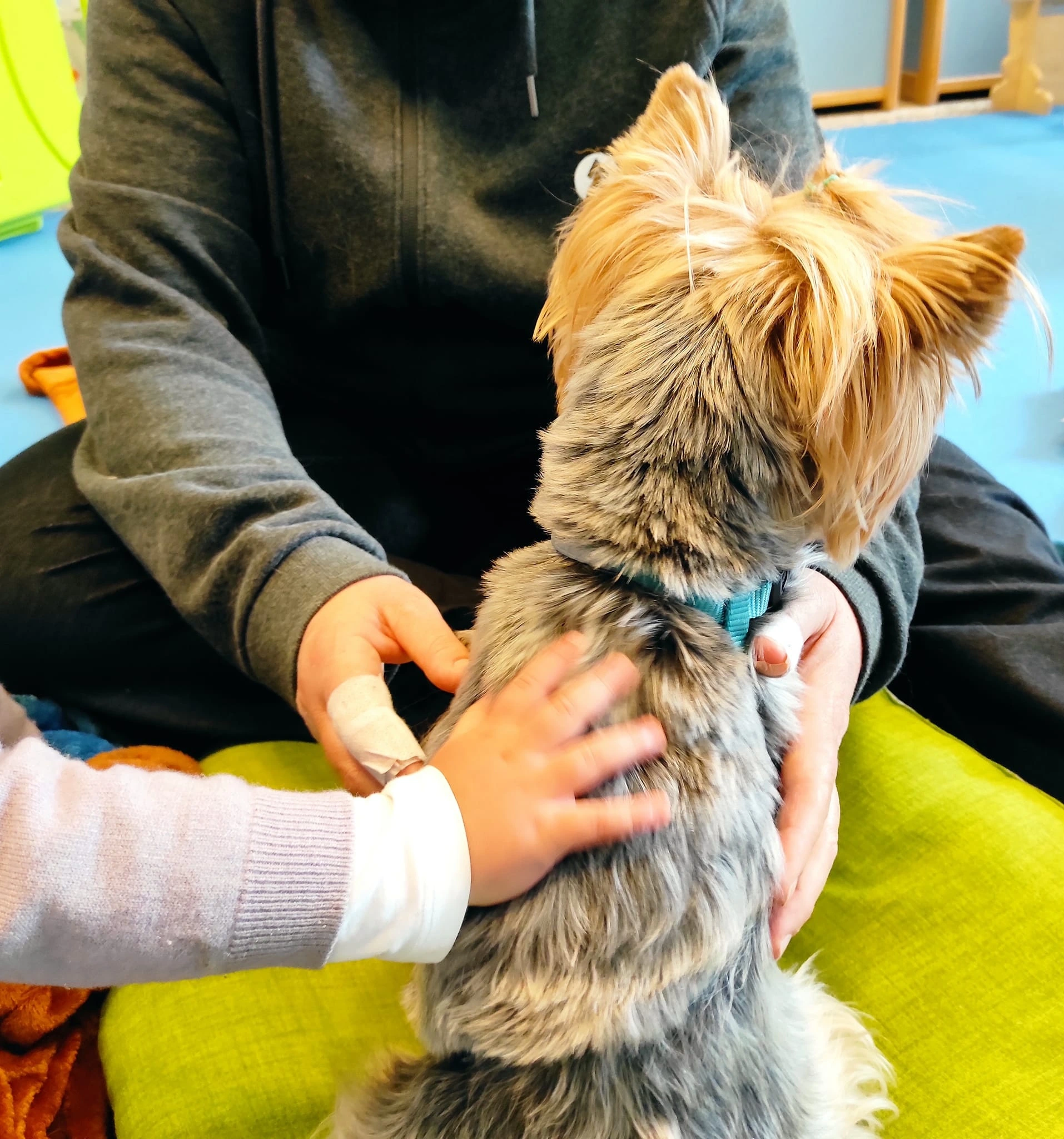 Bambini durante un incontro con un cane